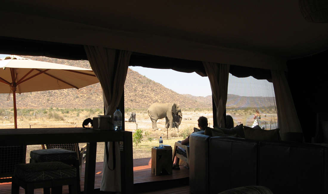 Game Viewing Lounge at Tau, a South