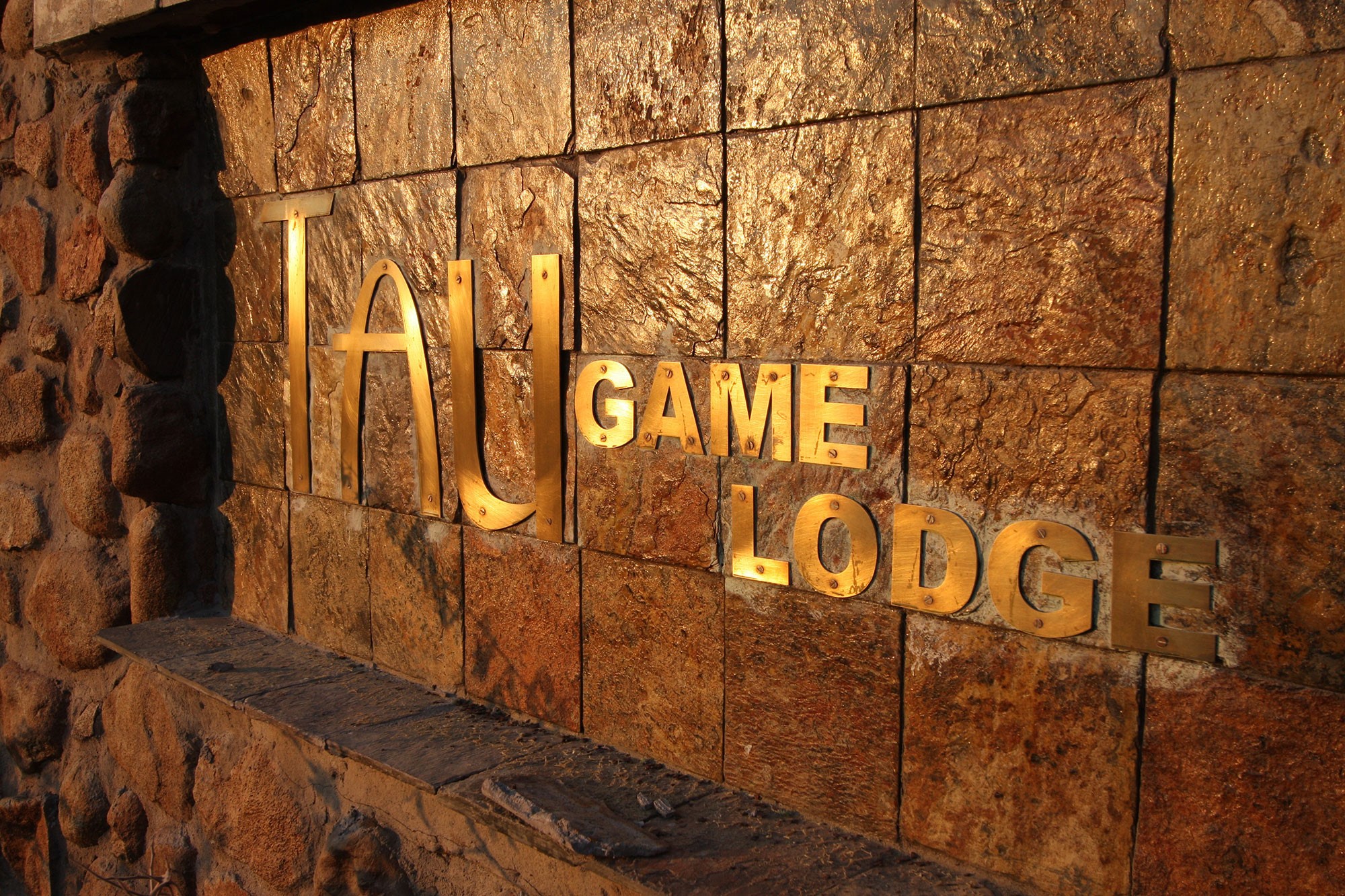 view the Big 5 in style