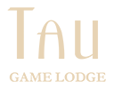 Game Viewing Lounge at Tau Game Lodge | Luxury Tent Bar South Africa