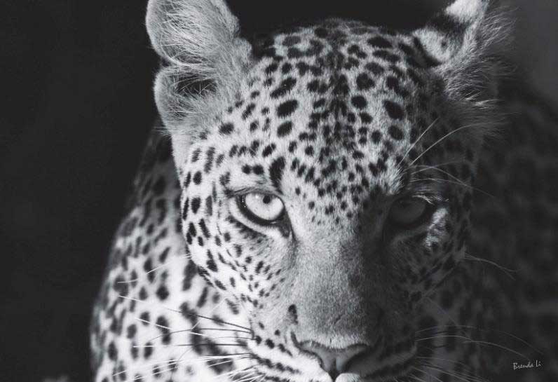 available in the online