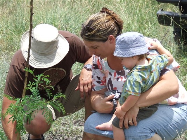 Tree Fund are charitable initiatives of