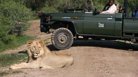 Daily Scheduled Programme at Tau Game Lodge