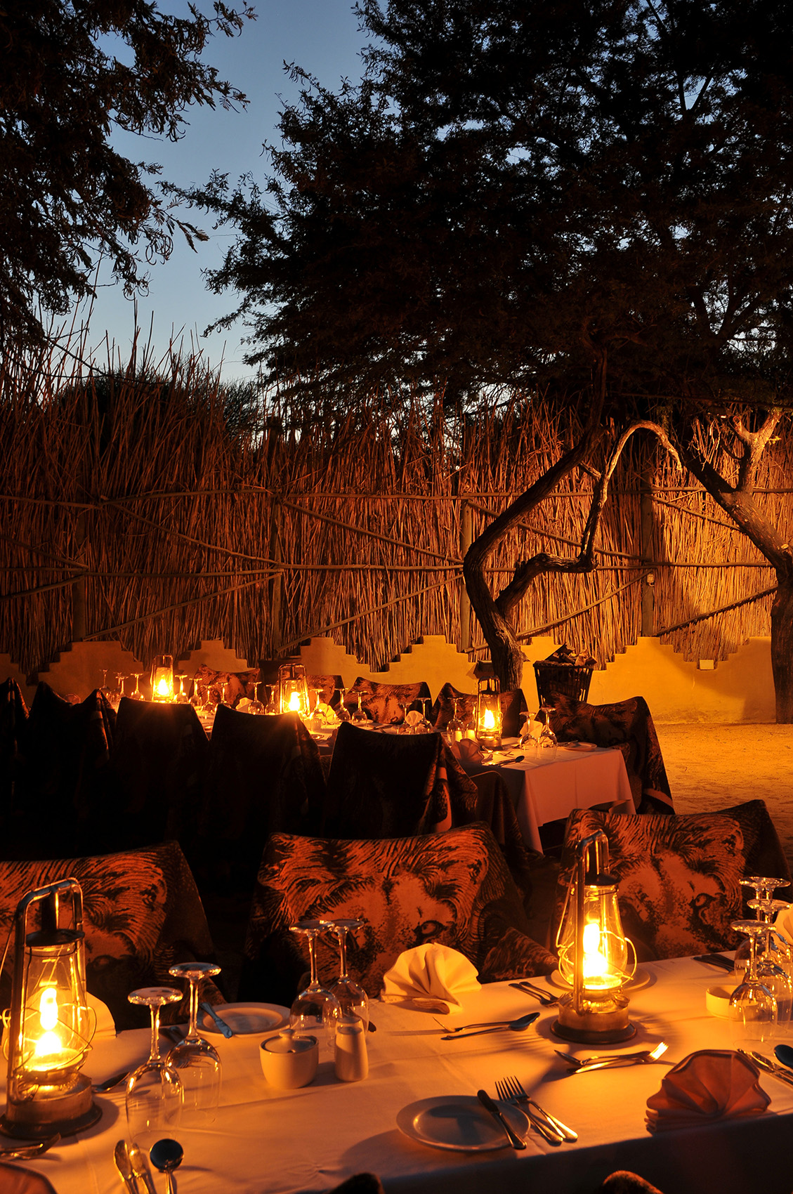Wedding Boma at Tau Game Lodge